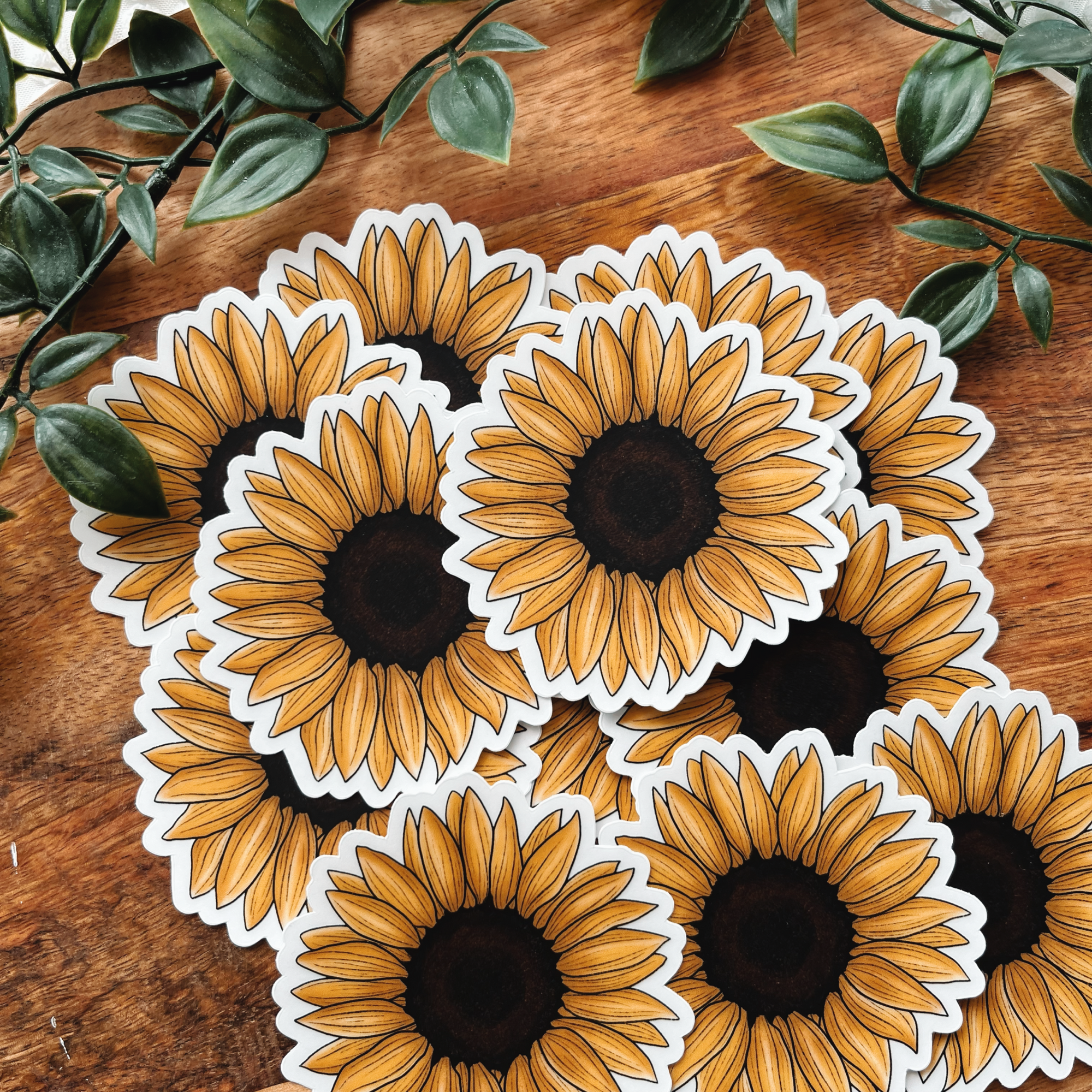 Sunflower