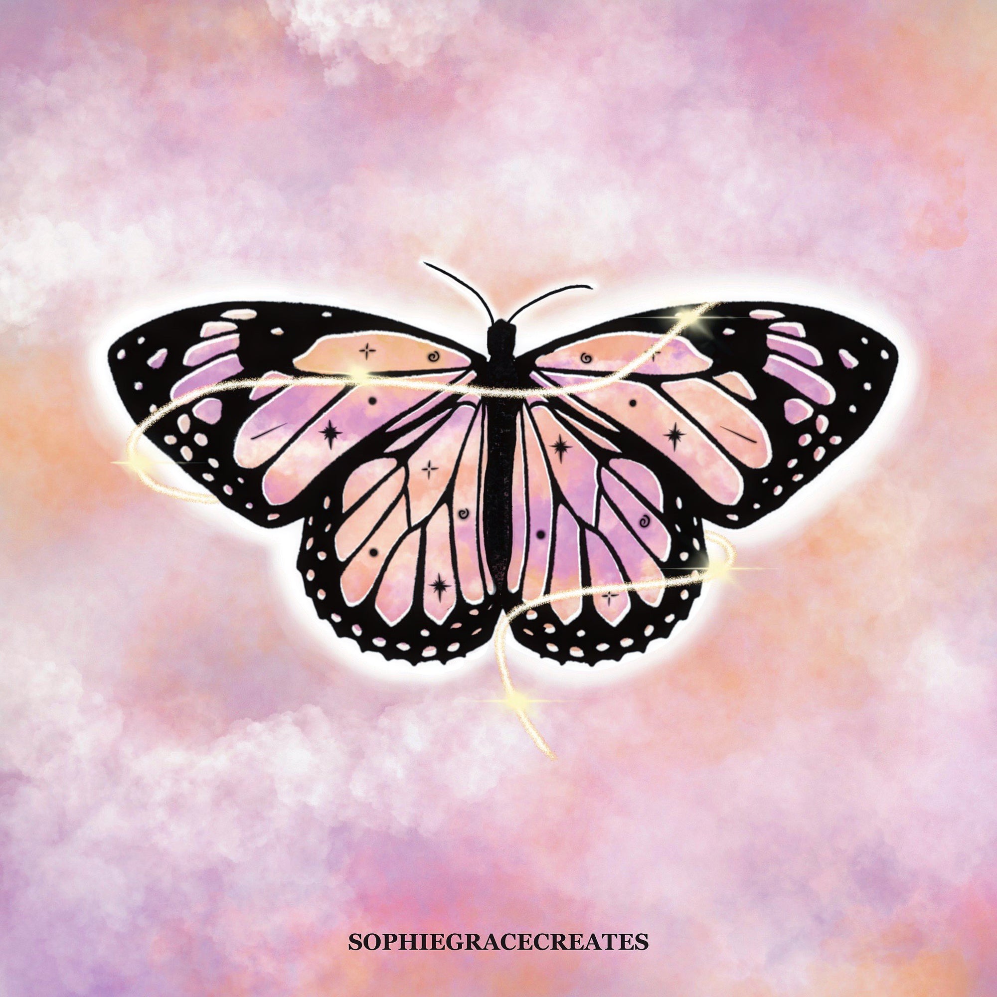 Butterfly Collection