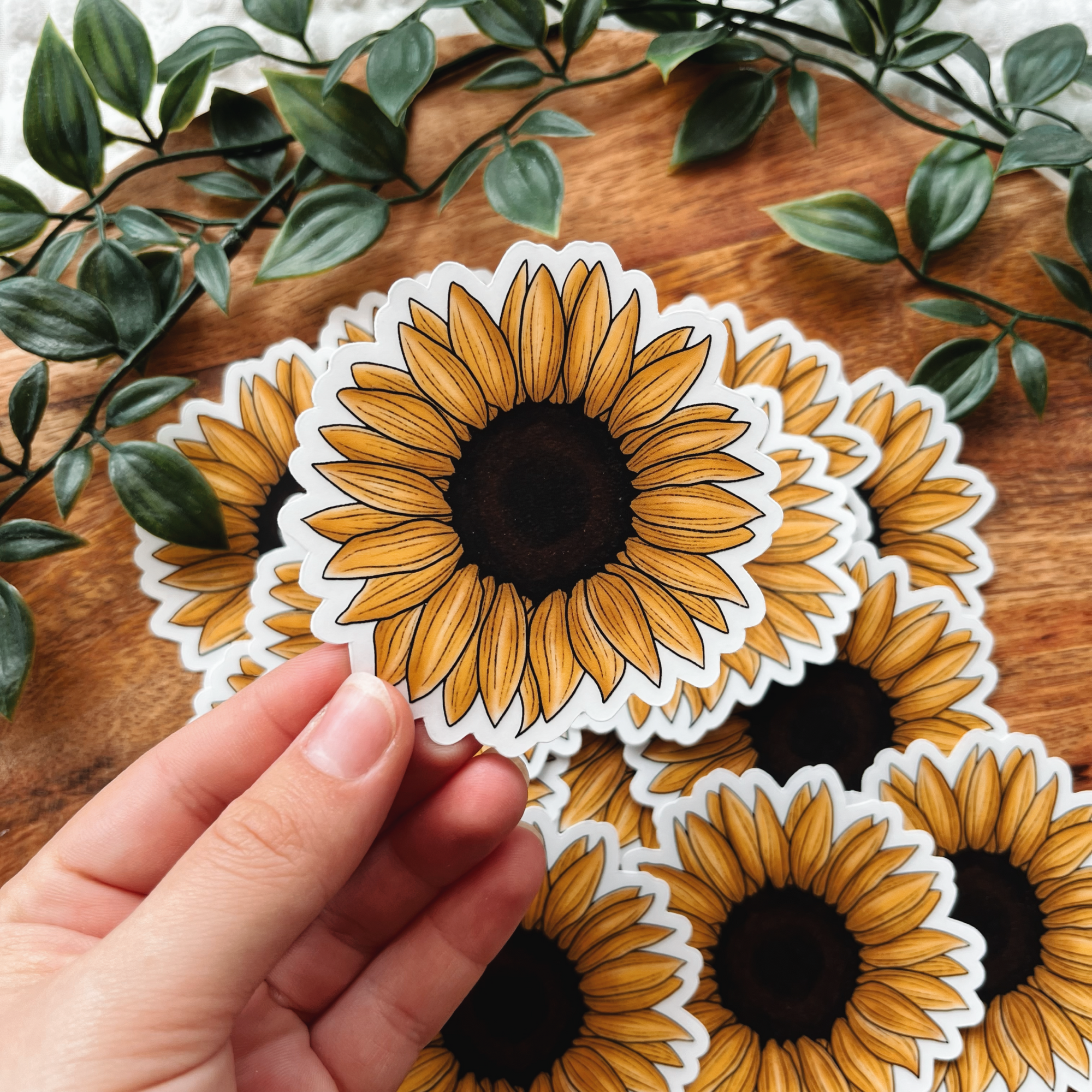 Sunflower Collection