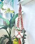 SGC Macrame Plant Hanger