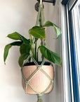 SGC Macrame Plant Hanger